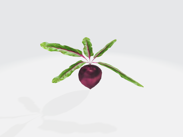 Beetroot 3D Model glb vegetable