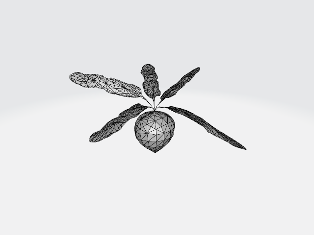 Beet 3D Model alternate view