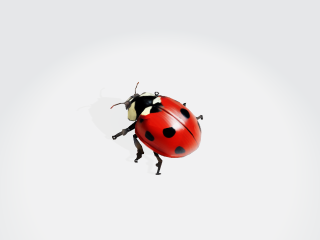 Ladybug 3D Model glb ladybug