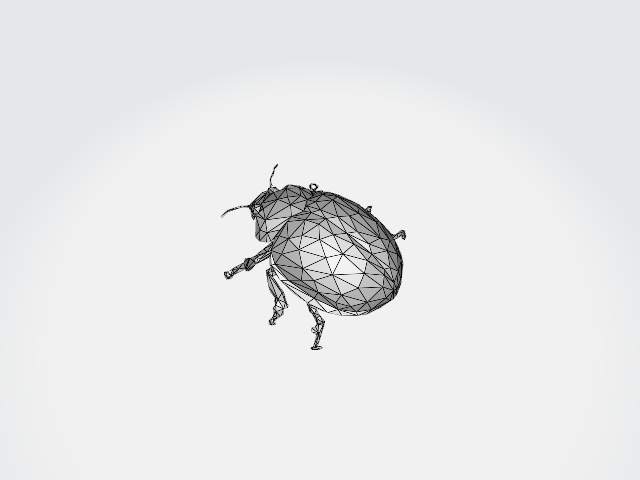 Ladybug 3D Model alternate view